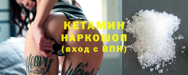 сатива Карпинск
