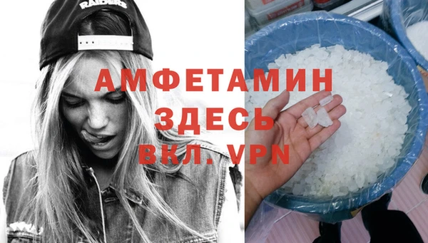 сатива Карпинск